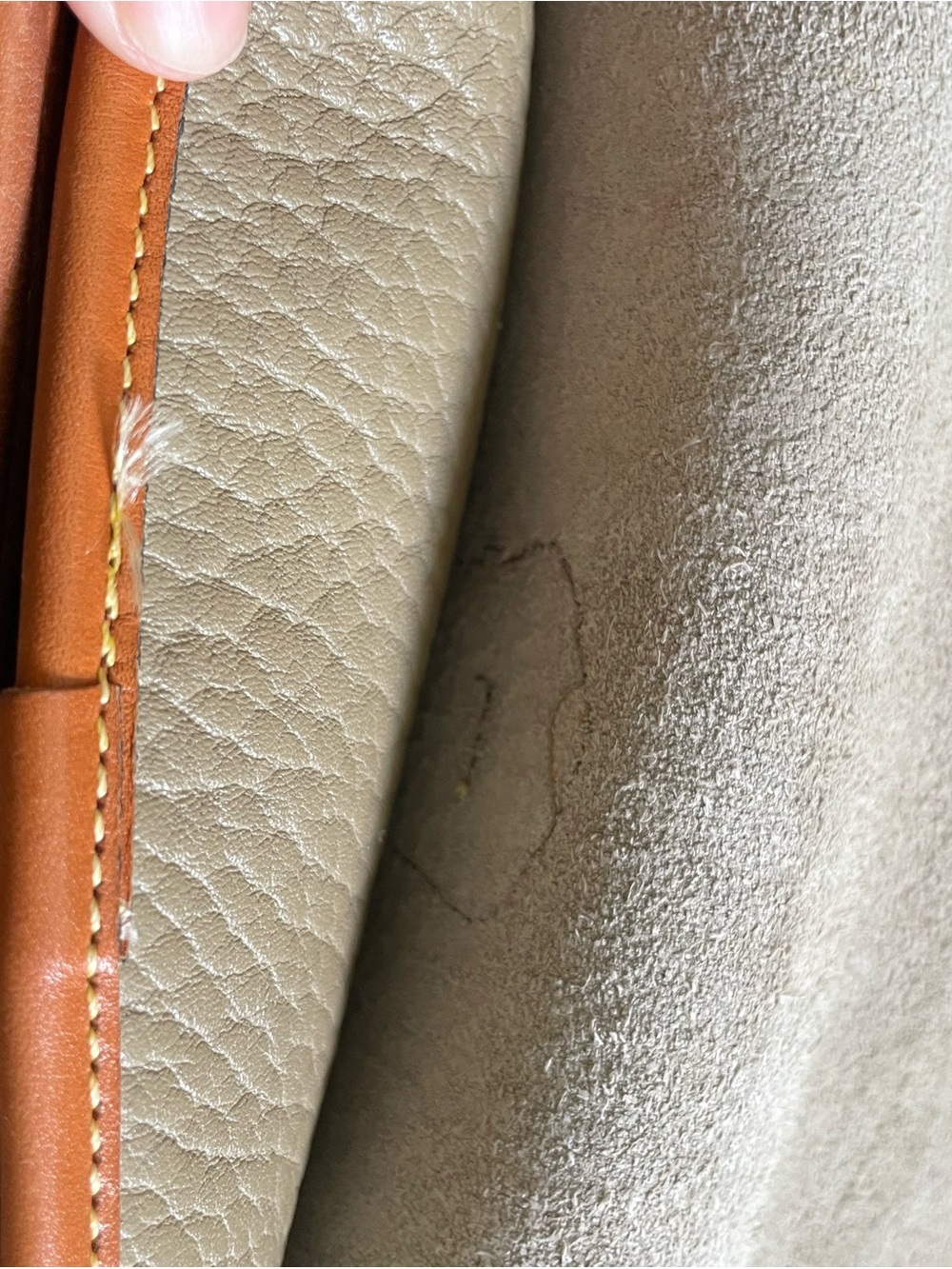 Dooney & Bourke Beige Pebbled Leather Crossbody with Tan Trim - Picture 9 of 16